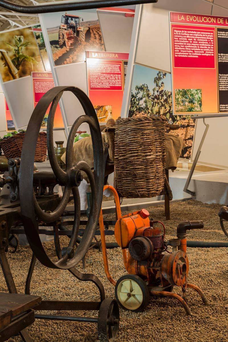 Este fin de semana es un buen momento para conocer el Museo del Vino de Cariñena