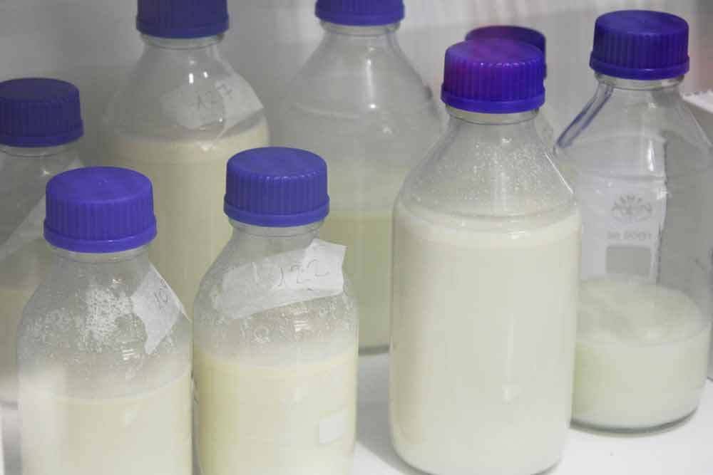 Al año se envían alrededor de 400-500 litros de leche al hospital infantil