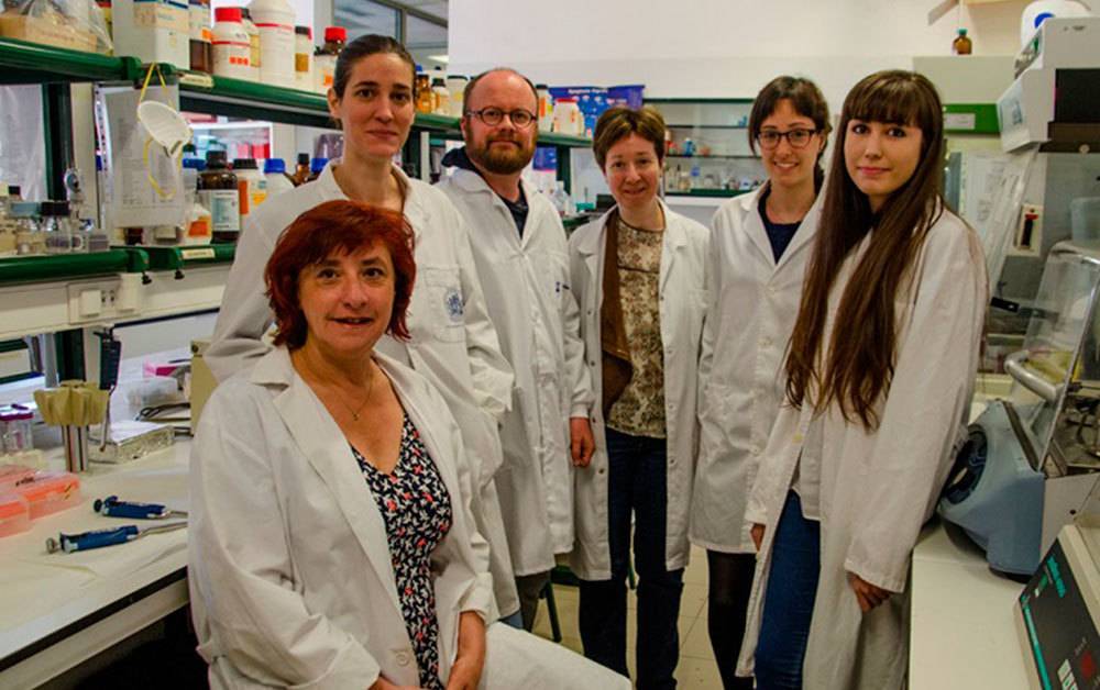 Toivonen y Calvo también se ocupan de ayudar con el trabajo del laboratorio