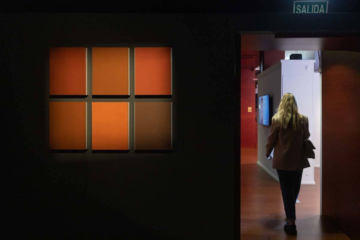Imagen de un cuadro de la exposición