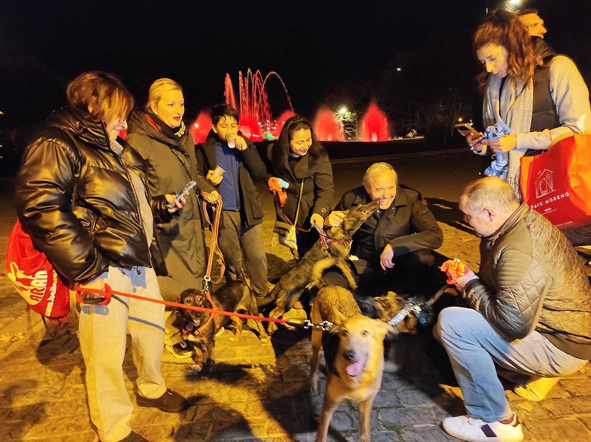 Una perrita se encuentra con sus cuatro cachorros en el primer encuentro "Adopta no compres" organizado por el Ayuntamiento de Zaragoza