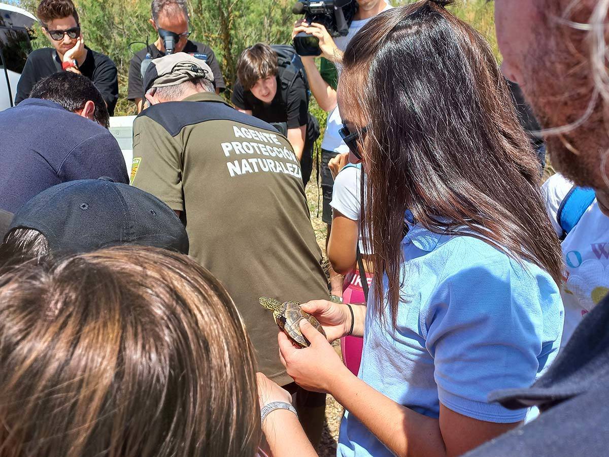 Tortugas galápagos europeos Zaragoza río Gállego