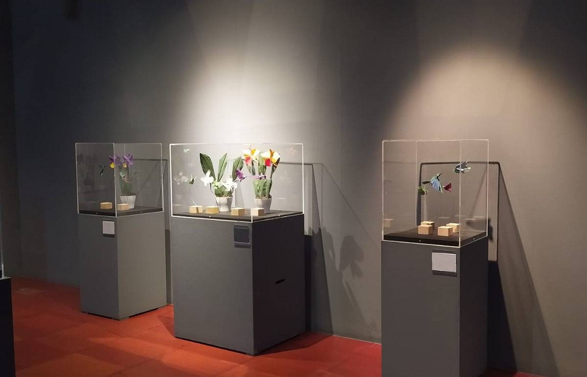 Exposición de orquídeas y colibríes de origami en el EMOZ