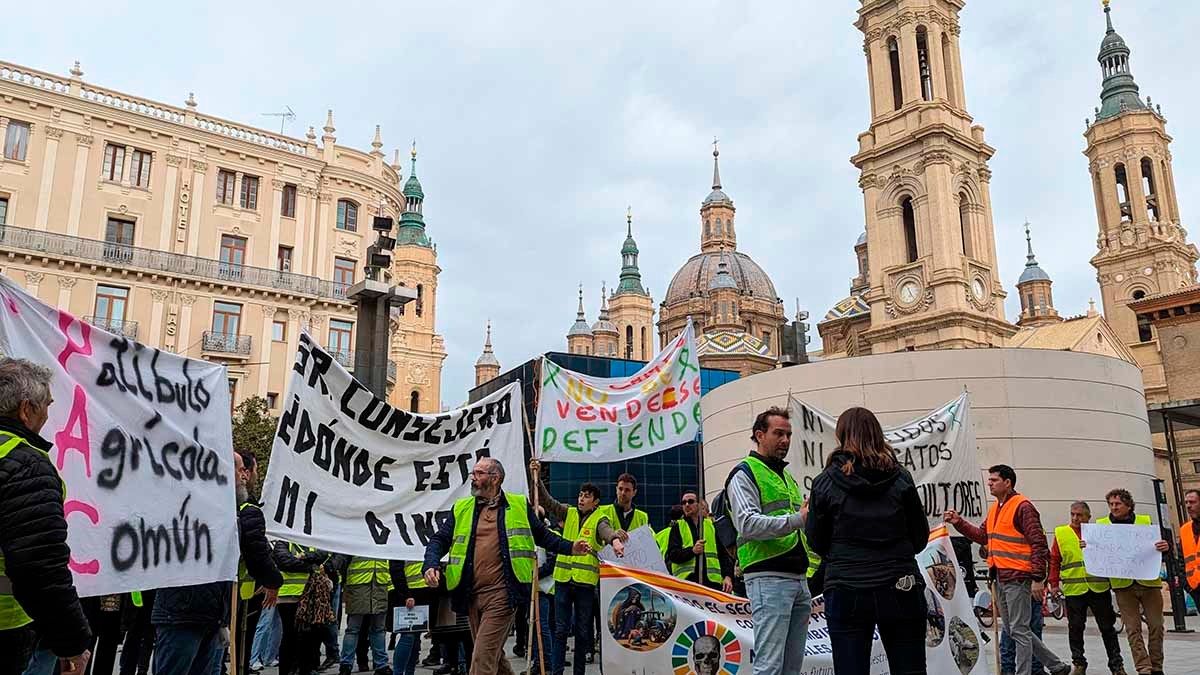Los manifestantes se han reunido con el consejero de Agricultura, Ángel Samper.