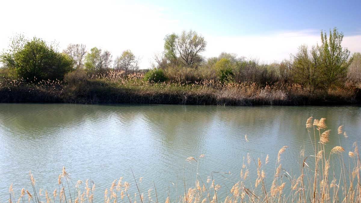 2.alfranca-turismo-aragon-jpg