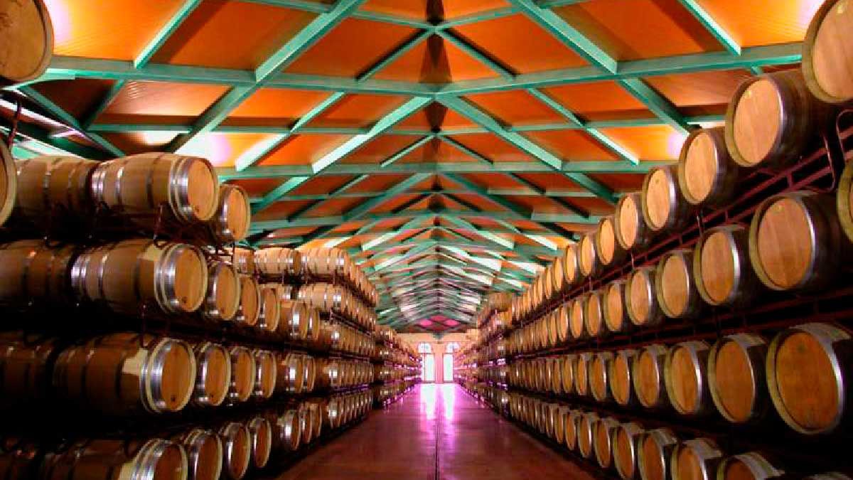 7-vino-cariñena-ayto