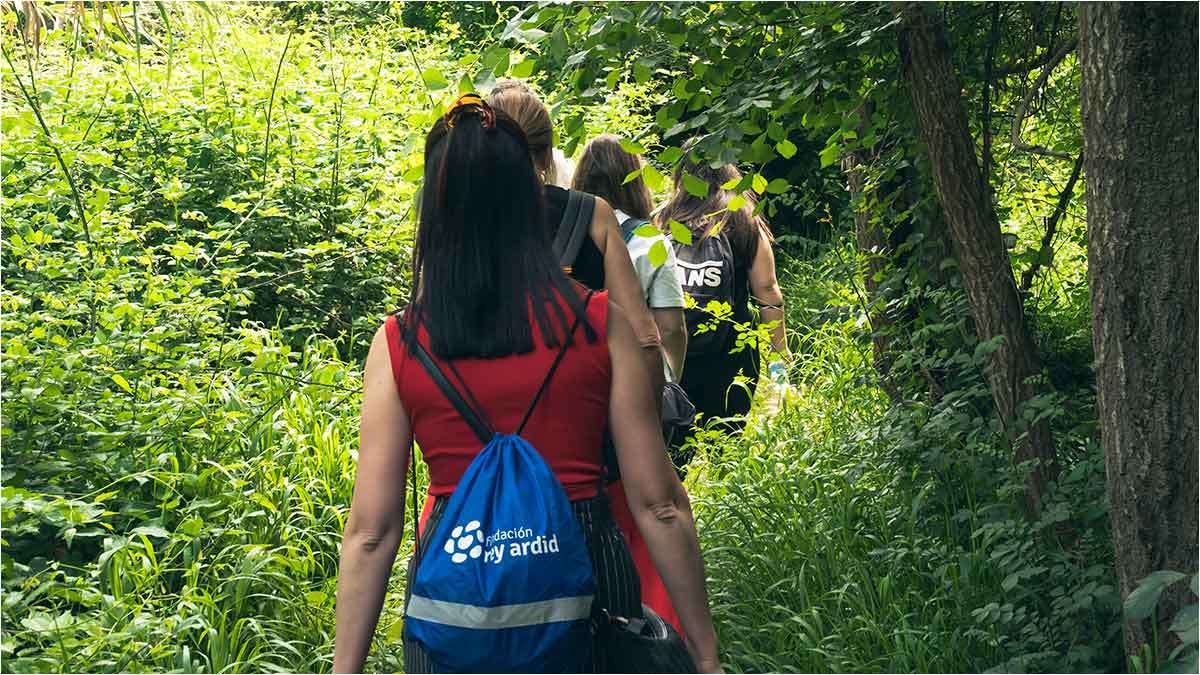 ardid-3