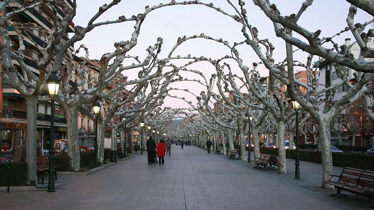 Paseo de las Cortes de Aragón en la Calatayud