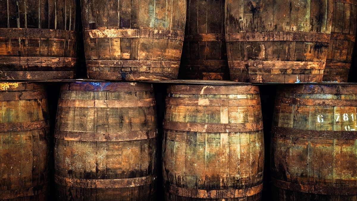 bodegas