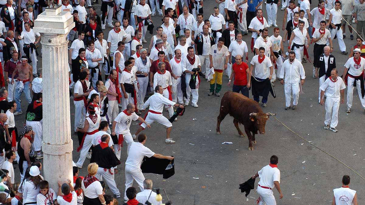 vaquillas2