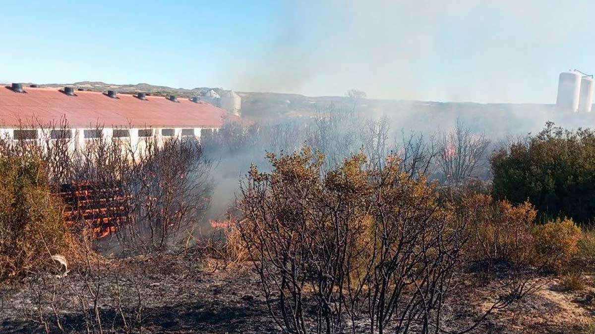 Las llamas del incendio de Biota se acercaron peligrosamente a la población de Farasdués, que ya ha sido realojada en sus casas