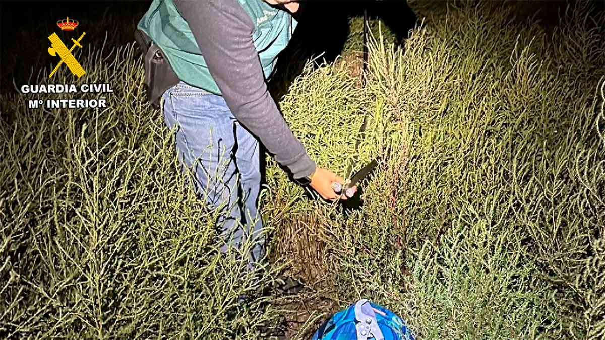 Herramientas y trozos de cable encontrados en la maleza cerca del lugar de los robos
