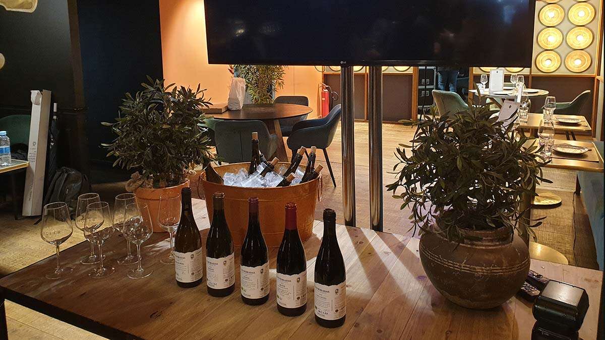 vinos