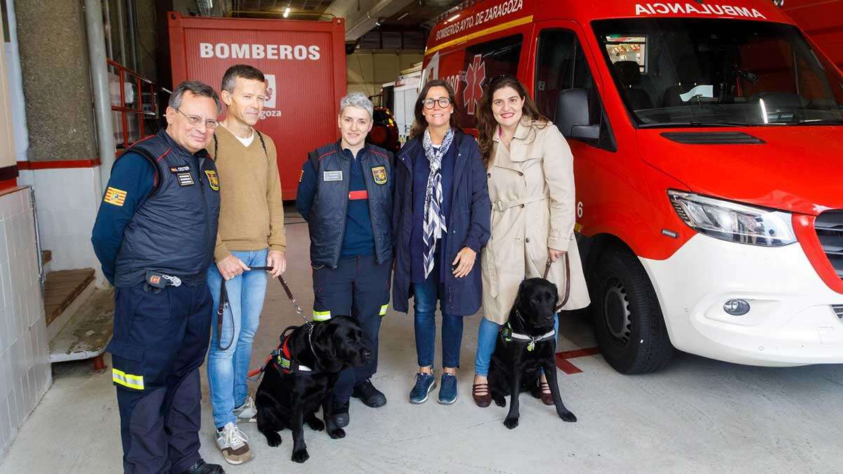 perro-ambulancia-4