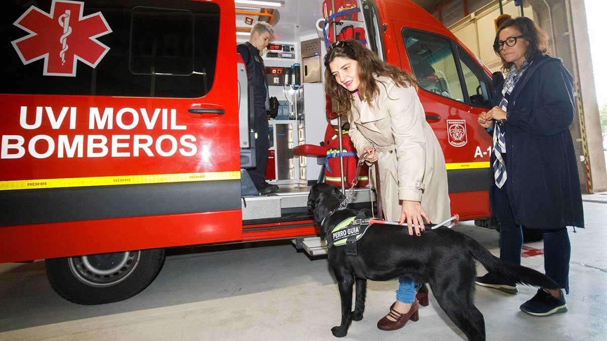 “Este Gobierno municipal tiene el compromiso de hacer de la ciudad un lugar más accesible para todos”, ha indicado la concejal Bravo