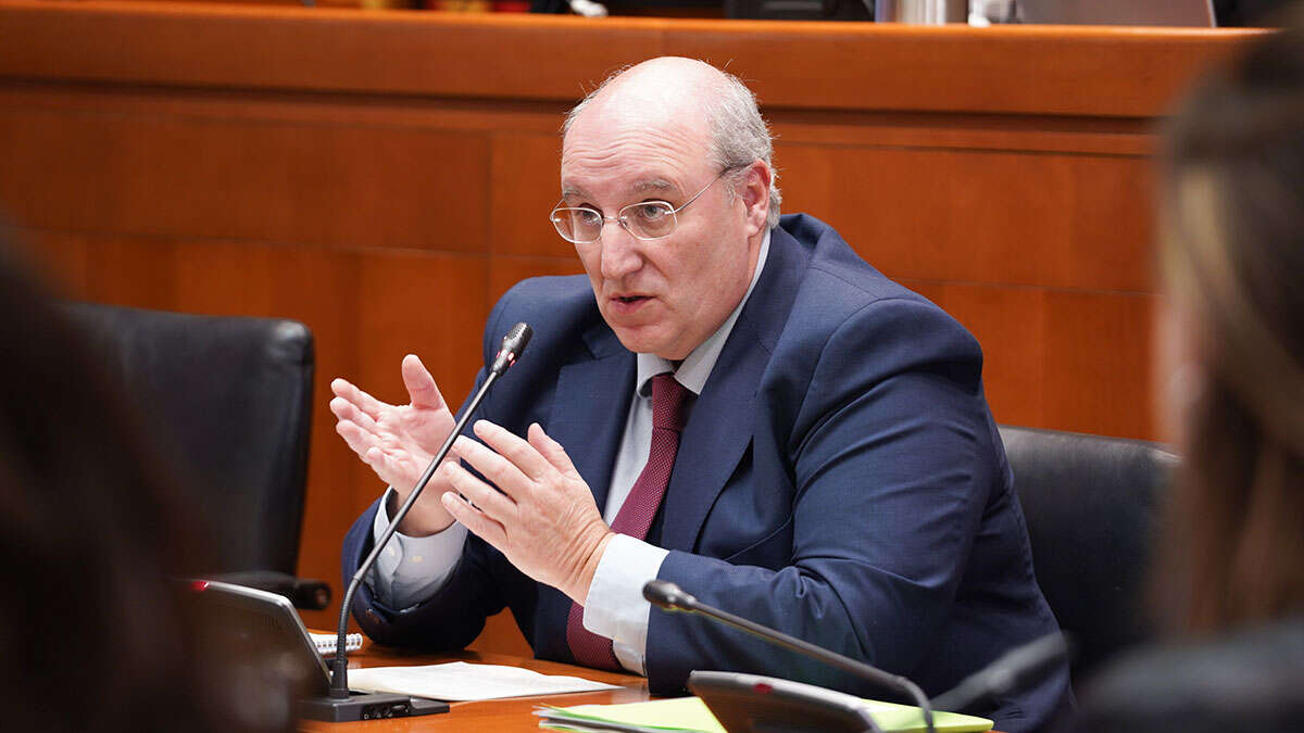 El director general de Transportes, Miguel Ángel Anía. Foto: Cortes de Aragón