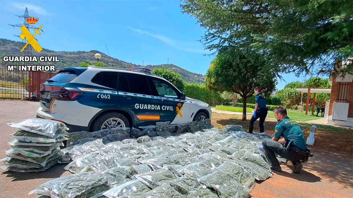 La Guardia Civil de Graus llevaba más de tres meses trabajando en el operativo que ha desmantelado seis plantaciones de marihuana