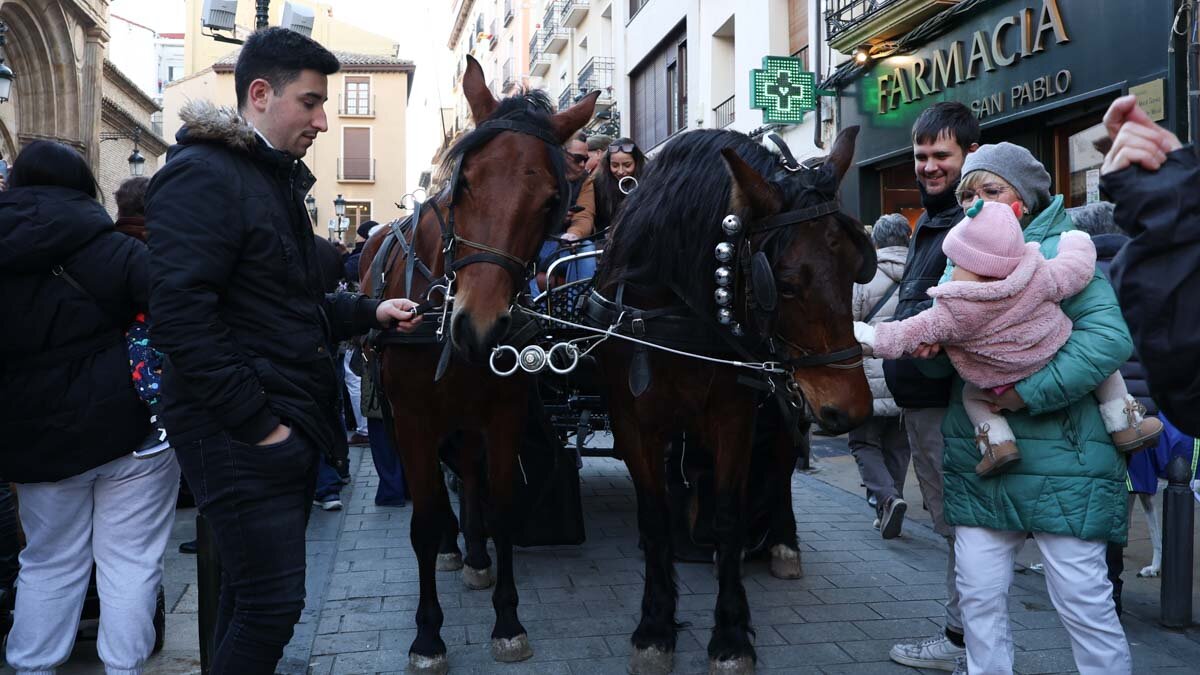 _animales-bendición_San Antón_1-21