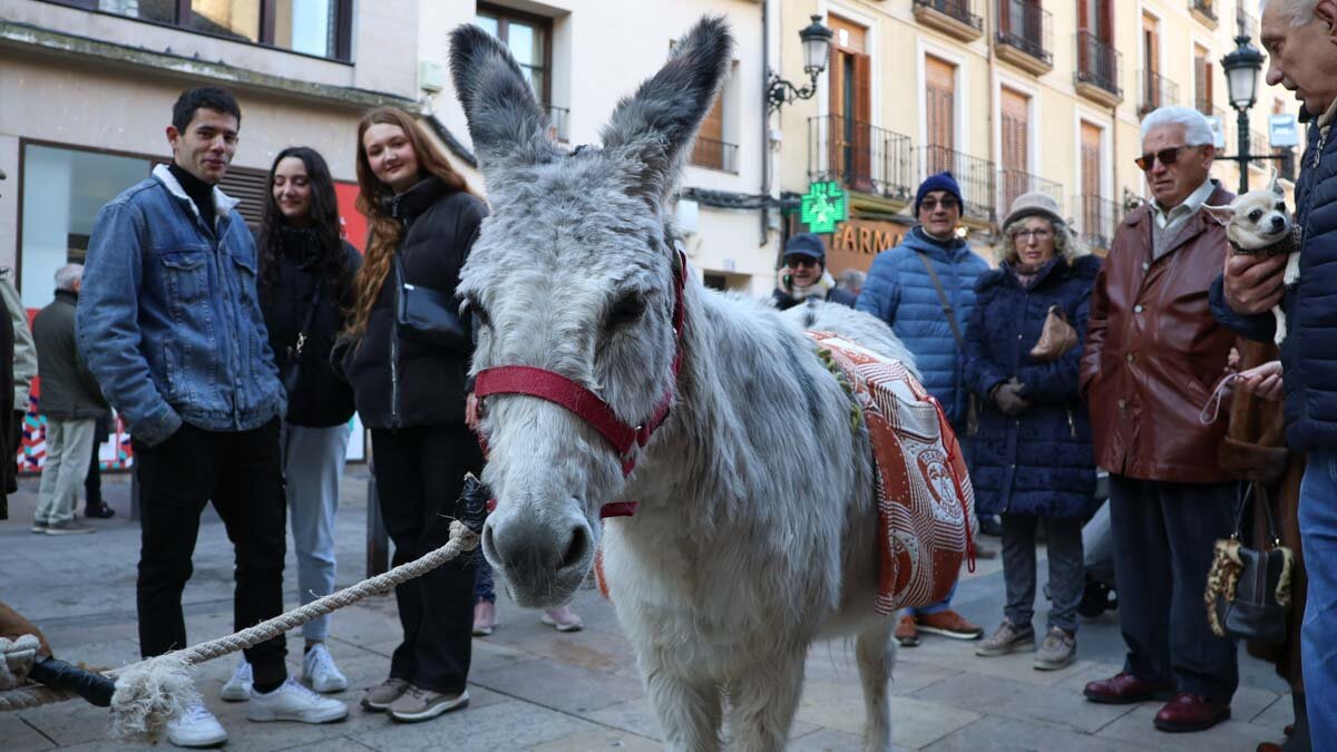 _animales-bendición_San Antón_1-25