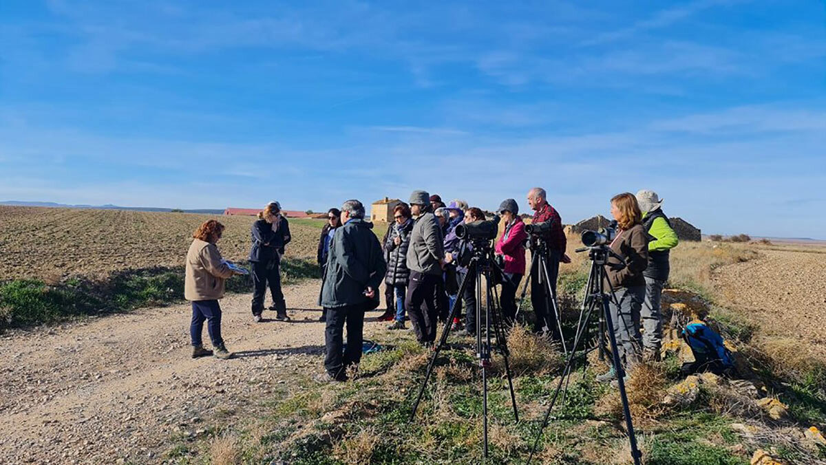 gallocanta-visita