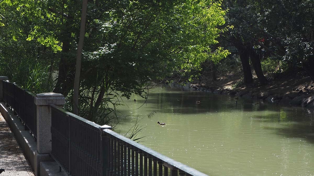 canal