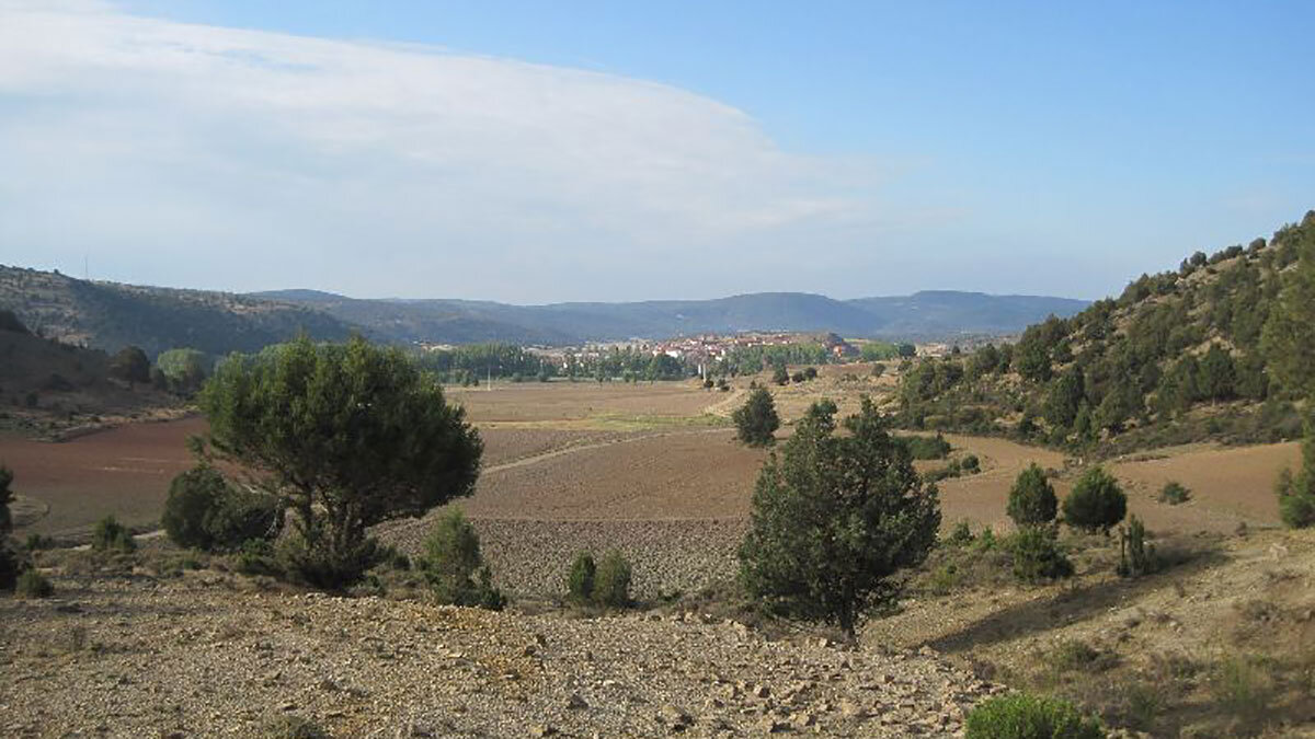 panoramicar_royuela
