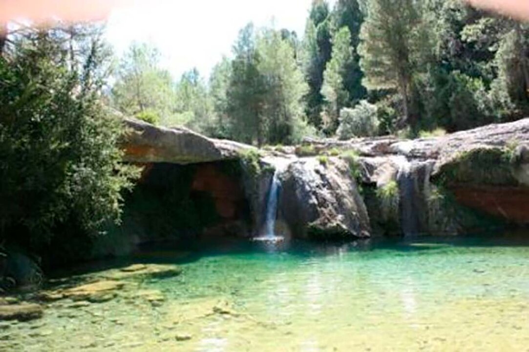 rio-algars-2
