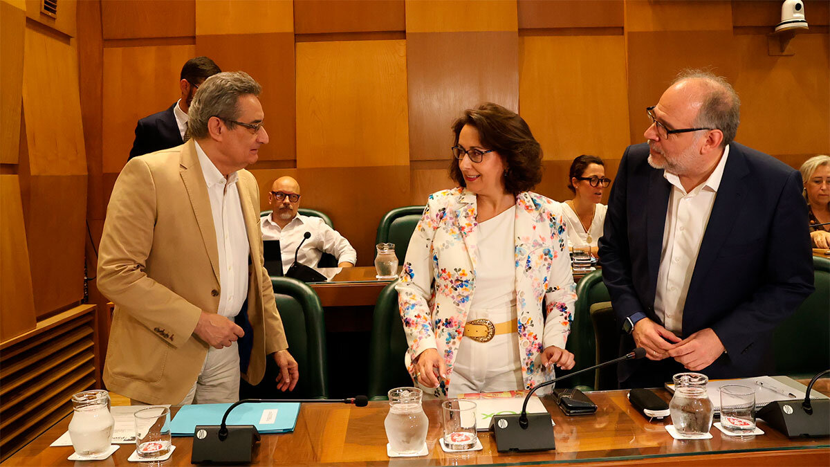 Julio-Calvo-Pleno