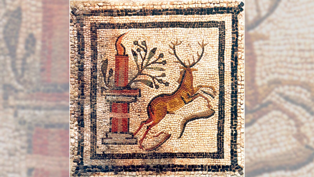 villa_fortunatus_-_comarca_bajo_cinca_2