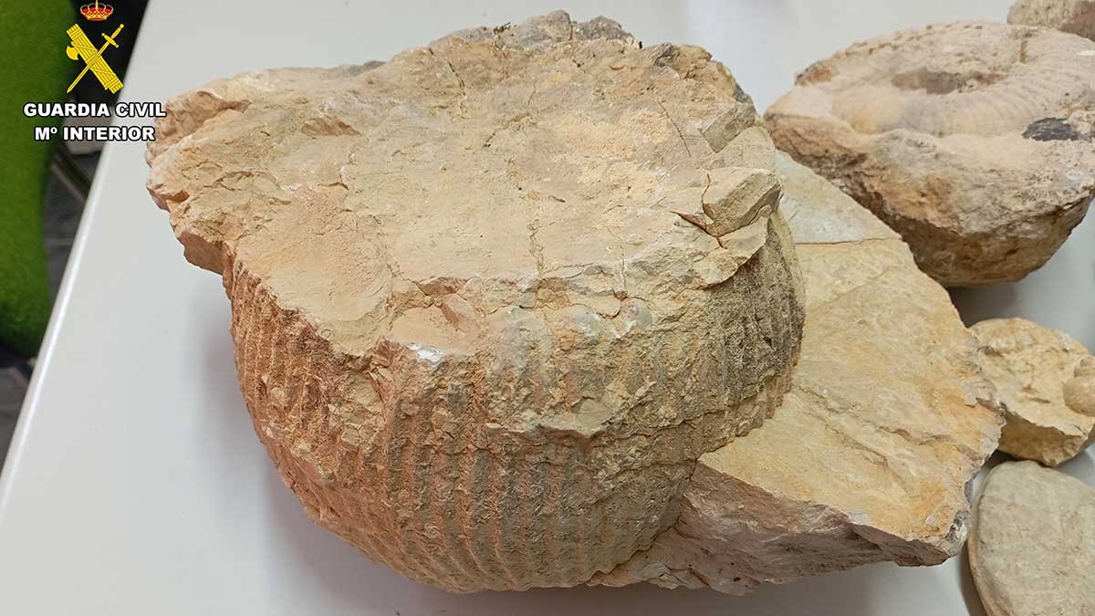 Este patrimonio geológico está gestionado por Patrimonio de la DGA.