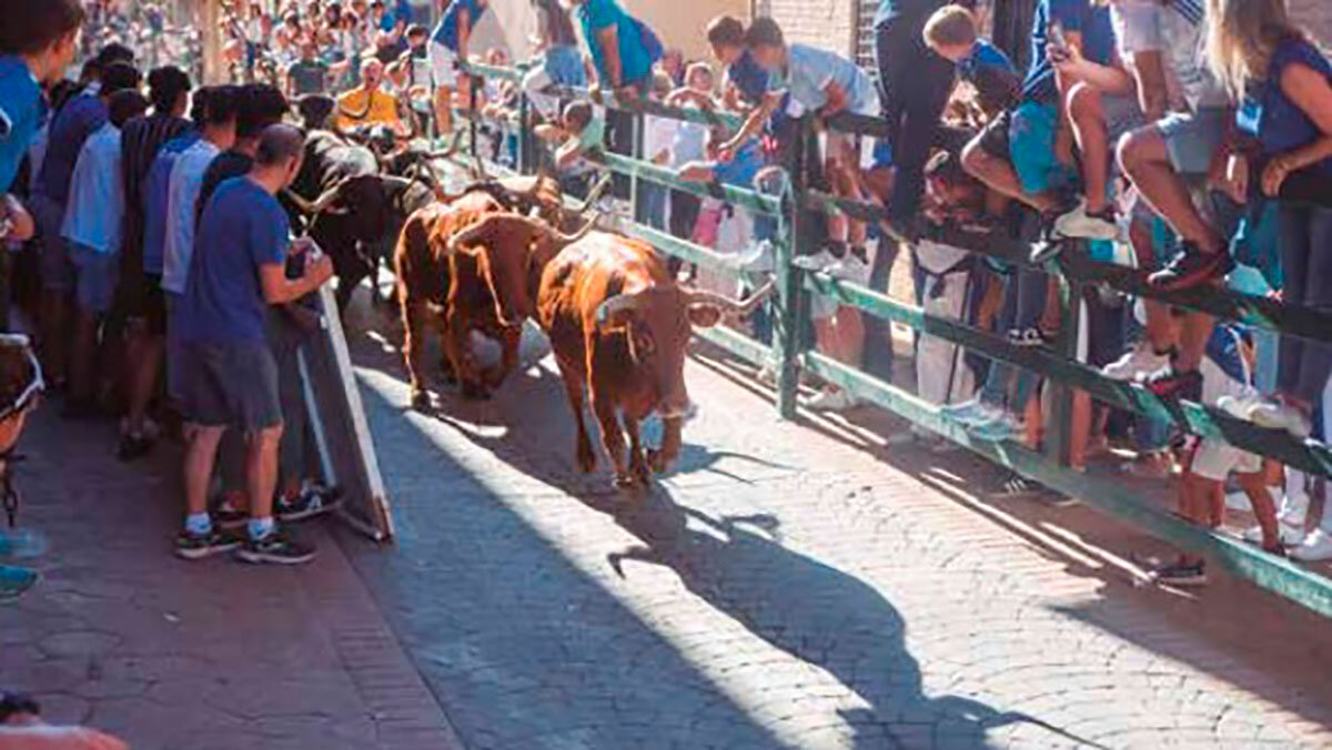 vaquillas