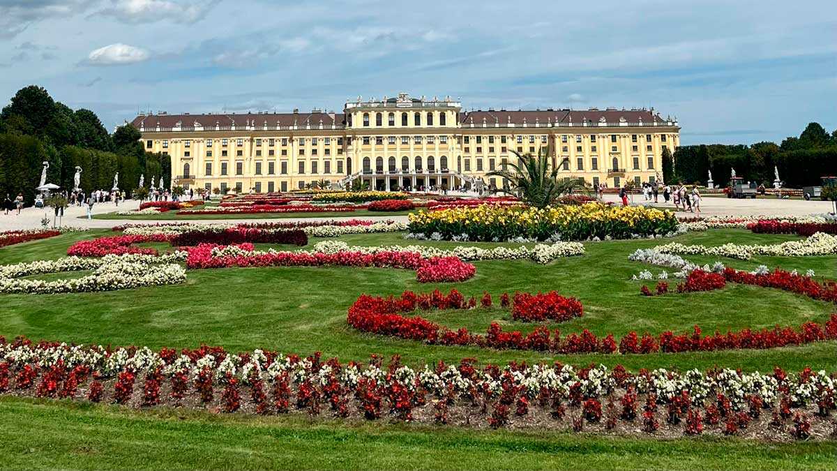 viena. Foto H.H