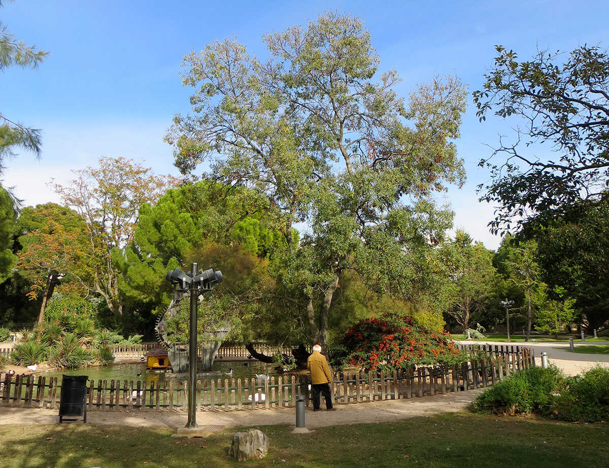 El estanque que albergaba la clepsidra, la casita para ánades, la valla de madera y toda la vegetación que lo arropaba. Todo ello desaparecido. 
Colección José Luis Garde—Parques de Zaragoza para Anteayer Fotográfico Zaragozano