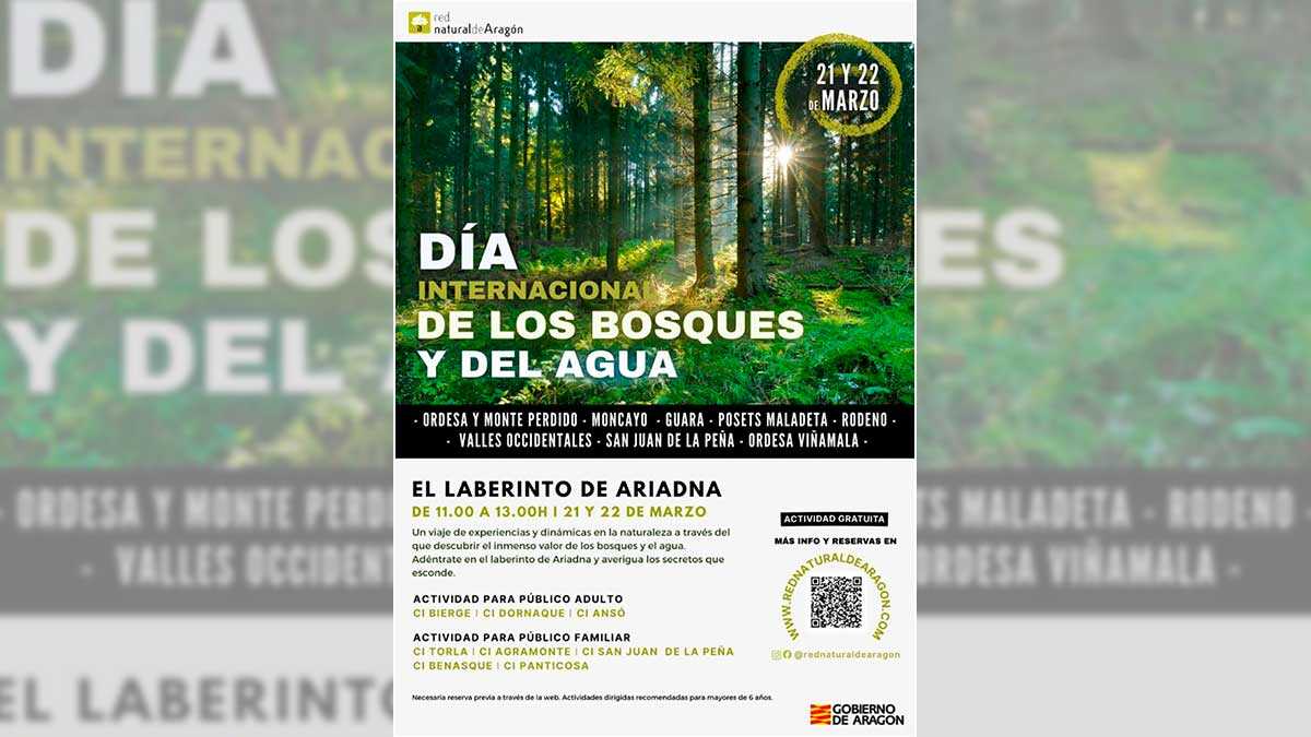 bosque-cartel